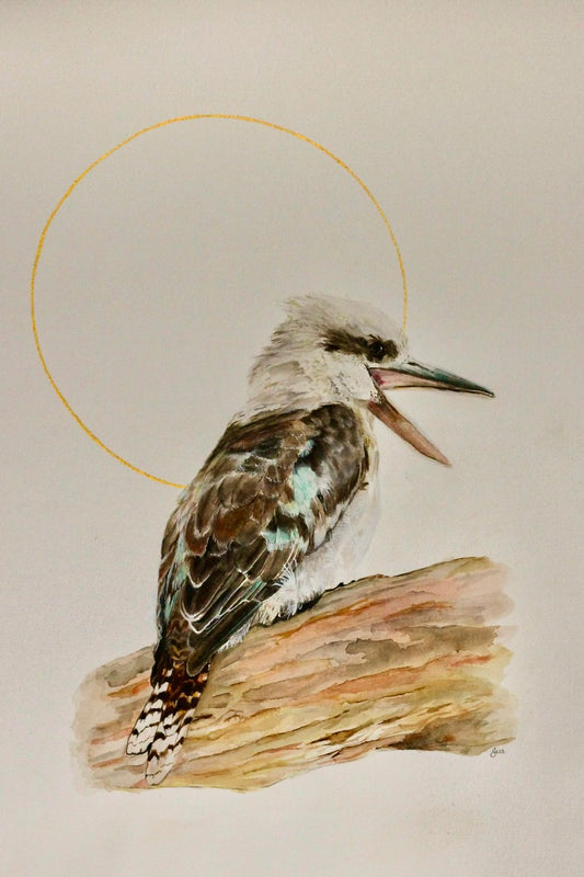 Laughing Kookaburra