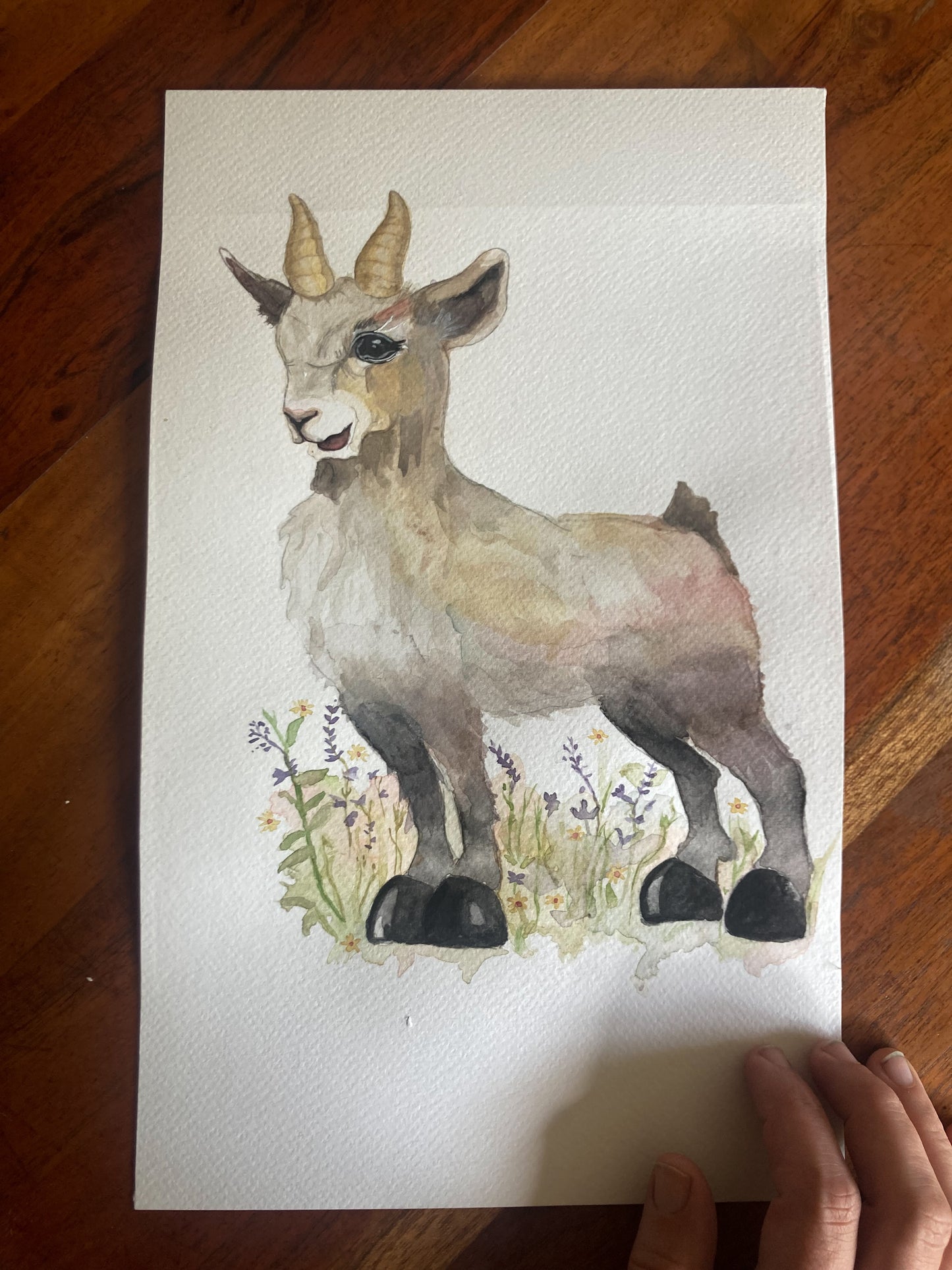Little Goat