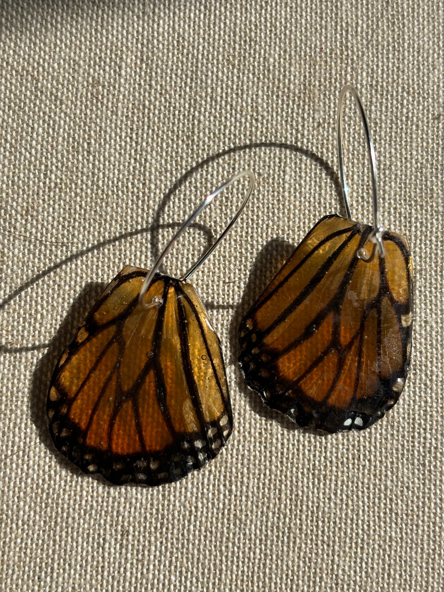 Hindwing Earrings