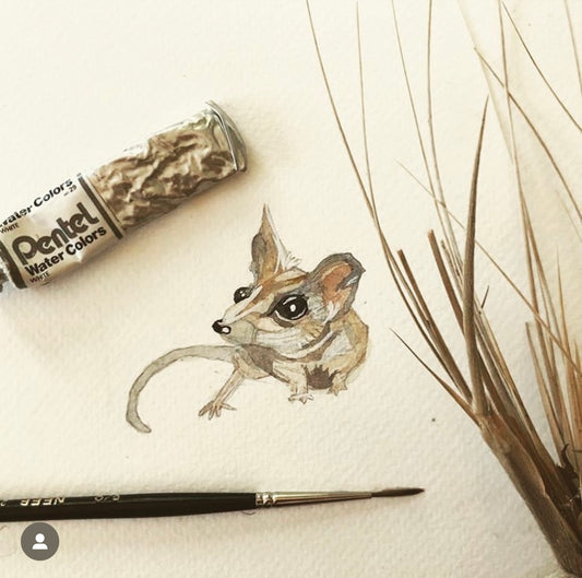 Kangaroo Island Dunnart