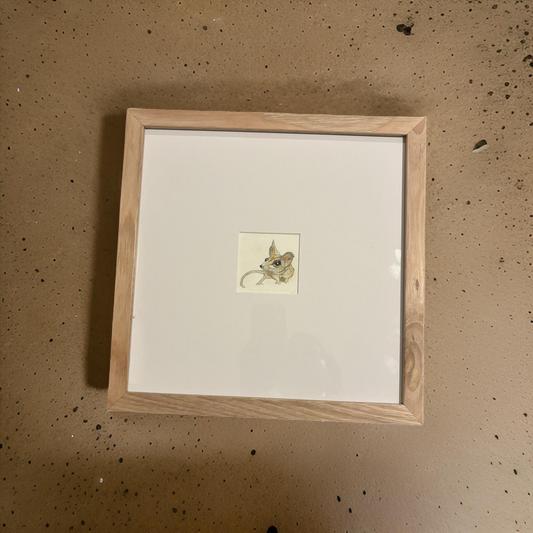 Kangaroo Island Dunnart