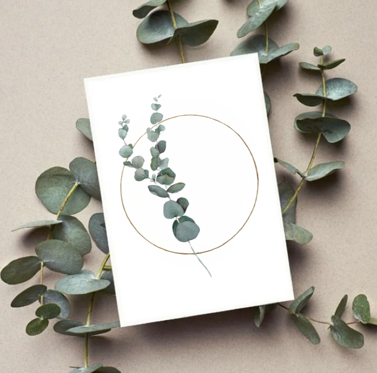 Bluegum Card