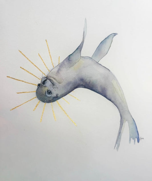 New Zealand Fur Seal in Play