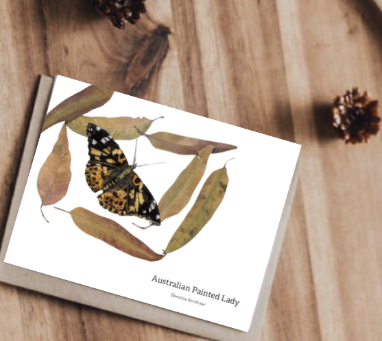 Painted Lady Card