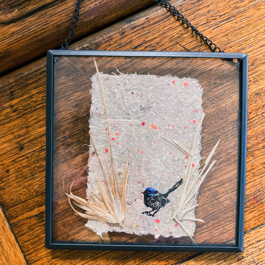 Blue Wren Lino in Floating Frame