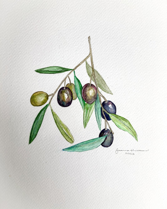 Olives Watercolour