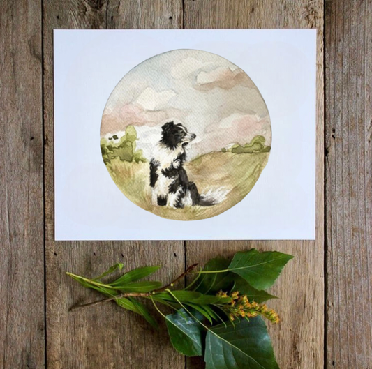 Border Collie Card