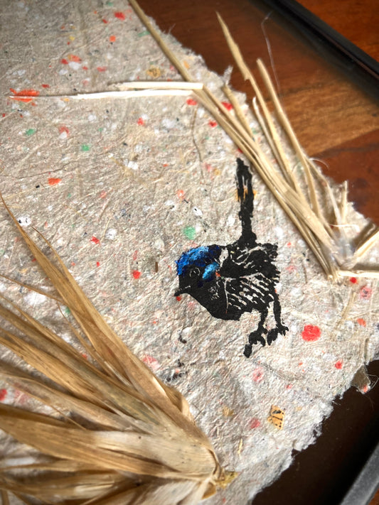 Blue Wren Lino in Floating Frame