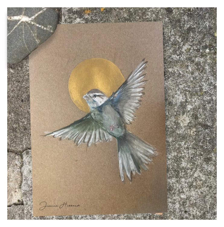 Little Sparrow