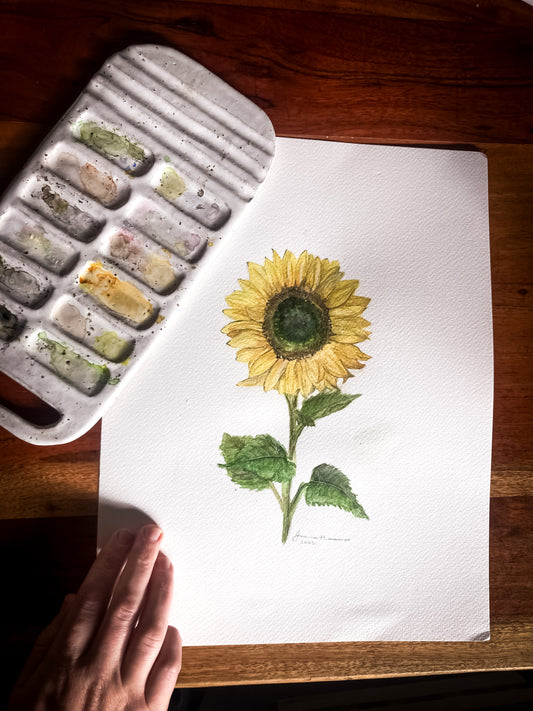 Sunflower Watercolour