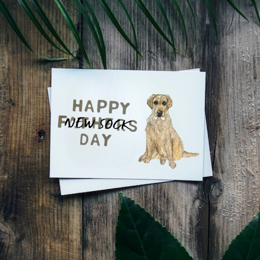 Happy (New Socks) Fathers Day Card