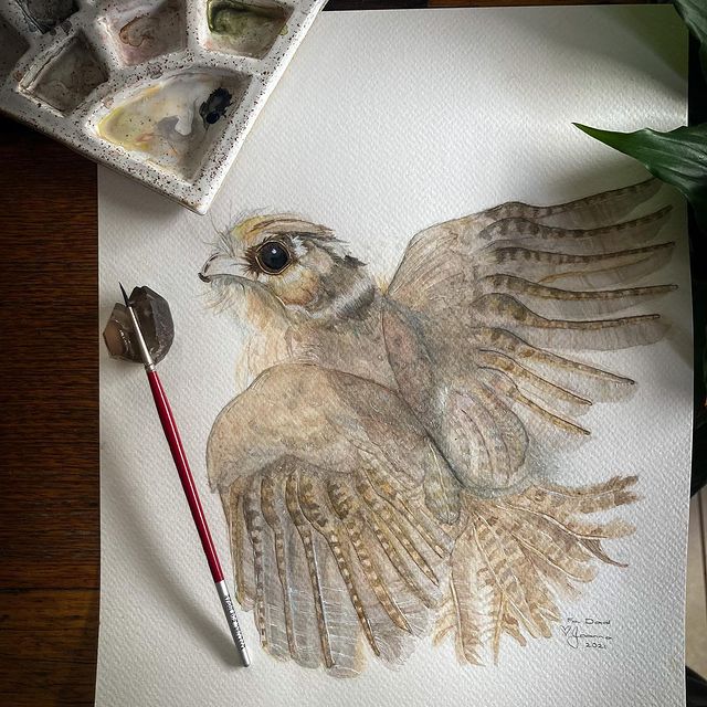 Custom Pet/Animal illustration