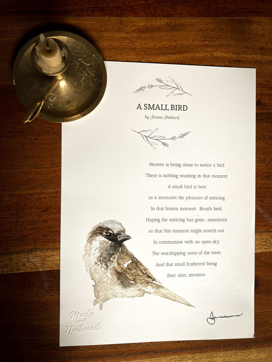 “A Small Bird” Prints