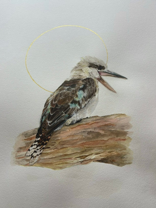Laughing Kookaburra