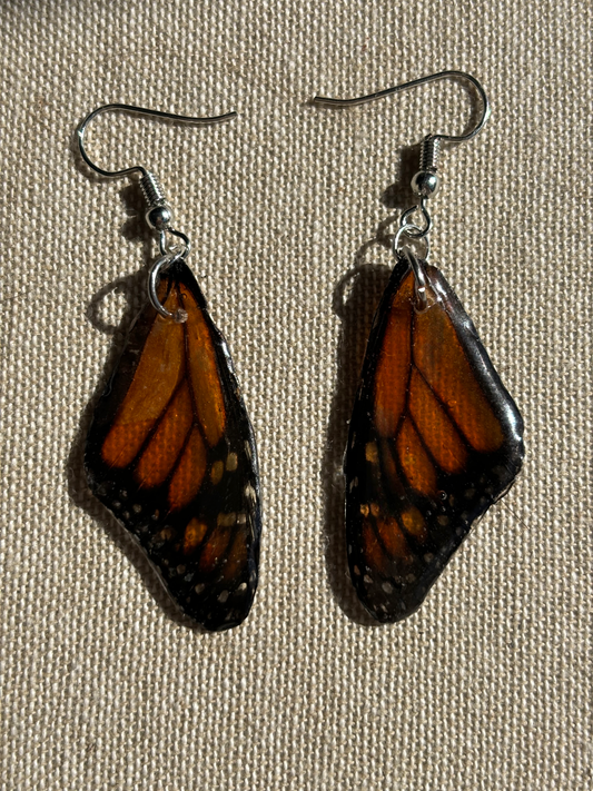 Forewing Earings