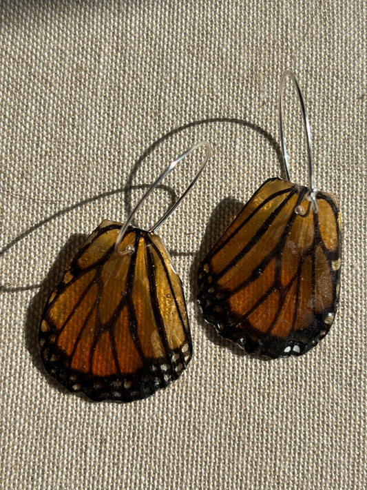 Hindwing Earrings