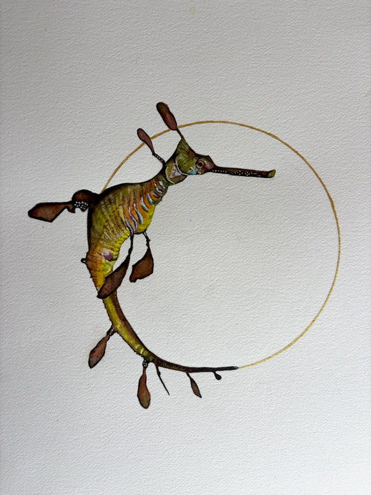 Seadragon