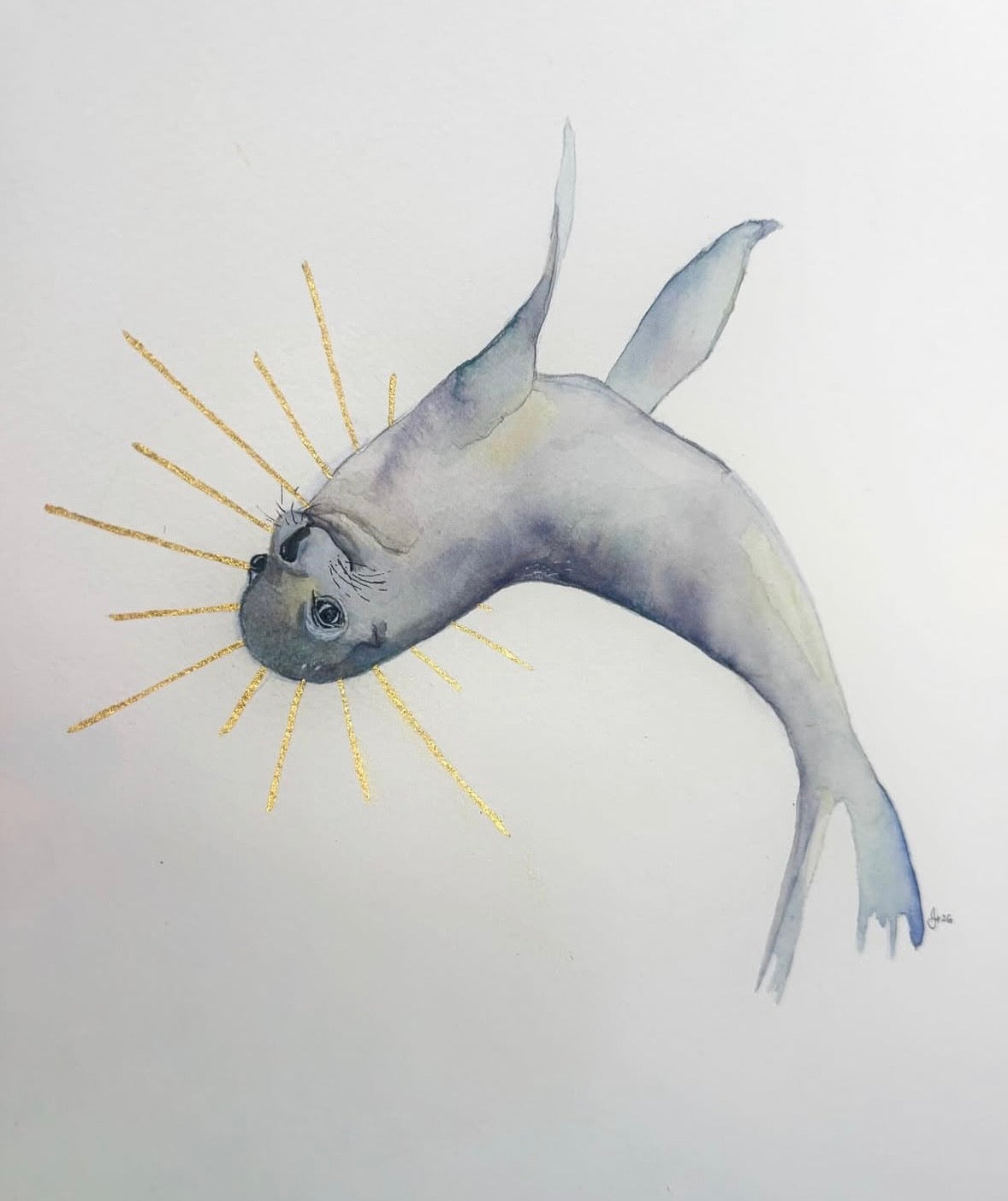New Zealand Fur Seal in Play
