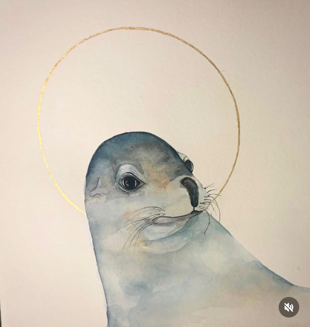 New Zealand Fur Seal in Portrait