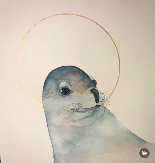 New Zealand Fur Seal in Portrait