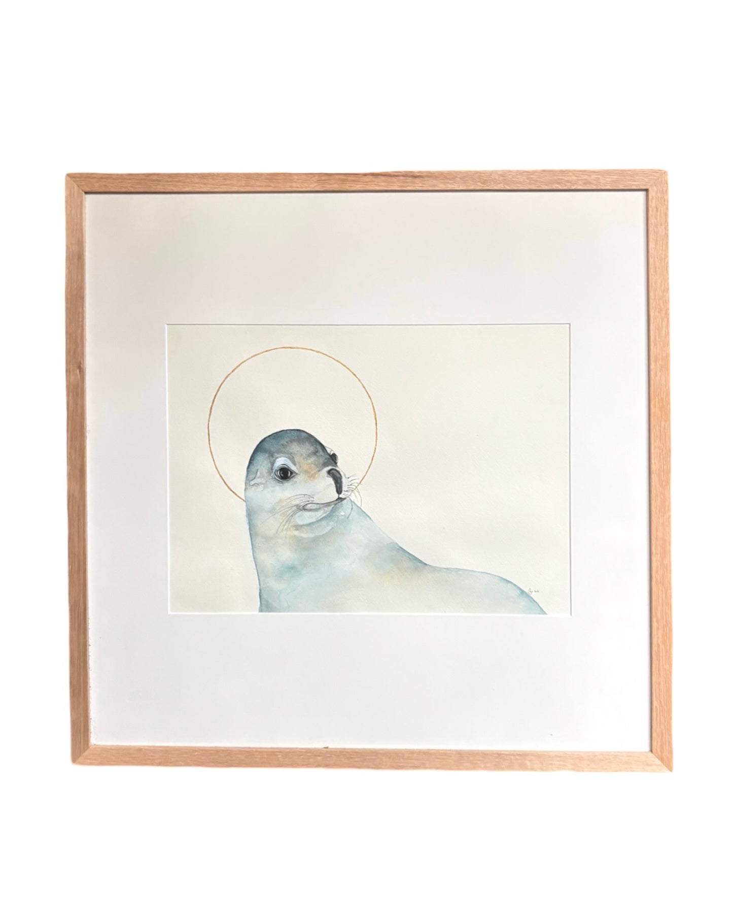 New Zealand Fur Seal in Portrait