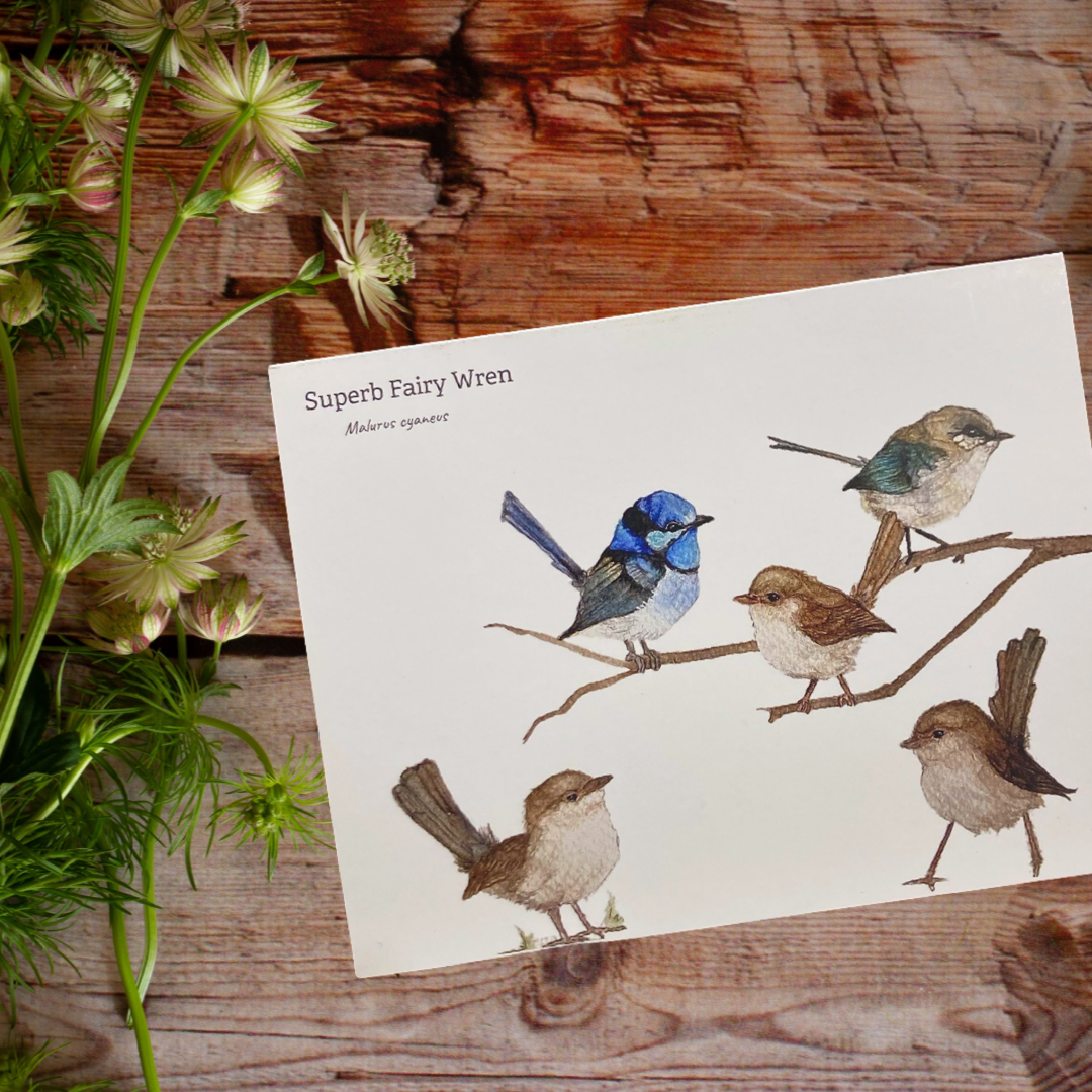 Australian Animals Greetings Cards