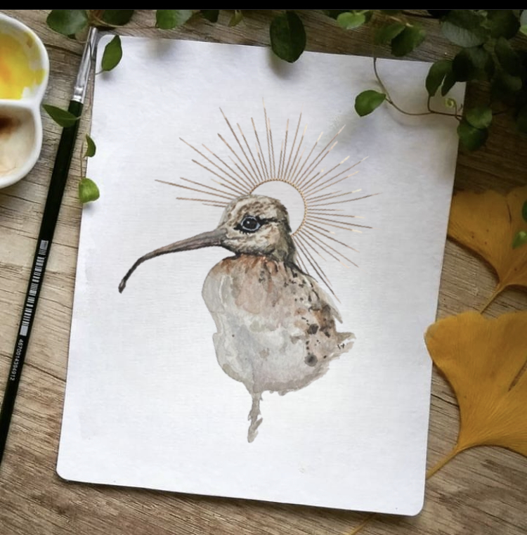 Eastern Curlew Postcard Pack