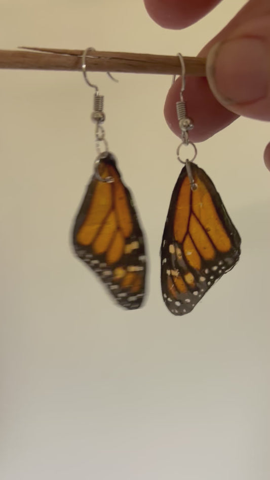 Forewing Earings