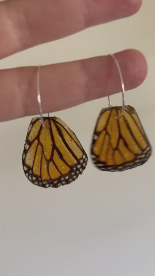 Hindwing Earrings