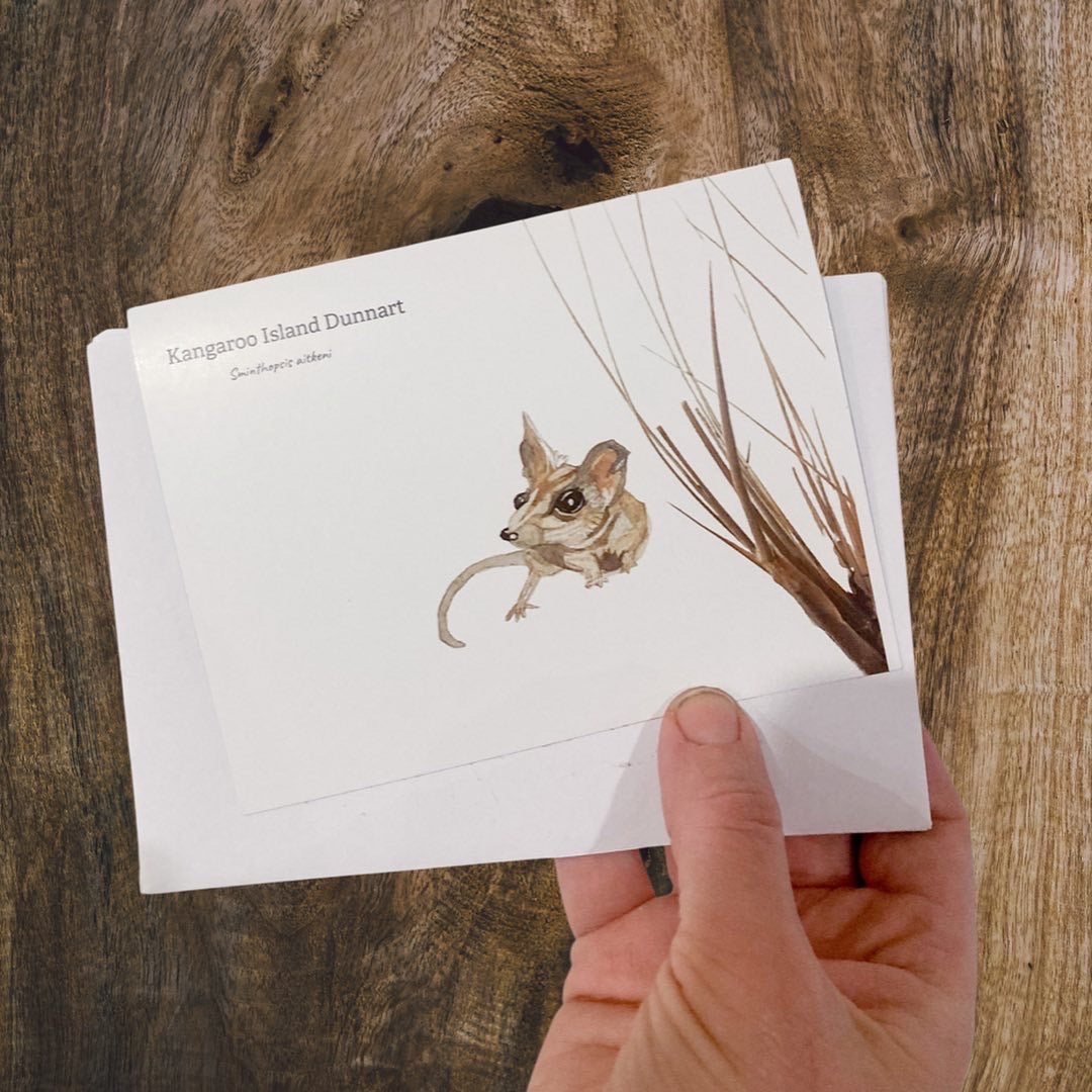 Australian Animals Greetings Cards